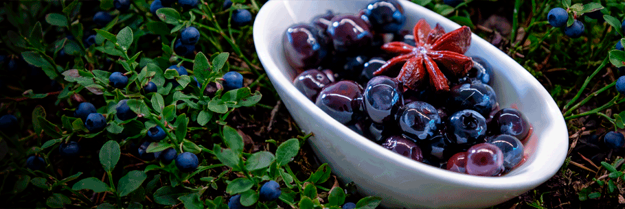 Heidelbeeren in einer Schale auf Waldboden